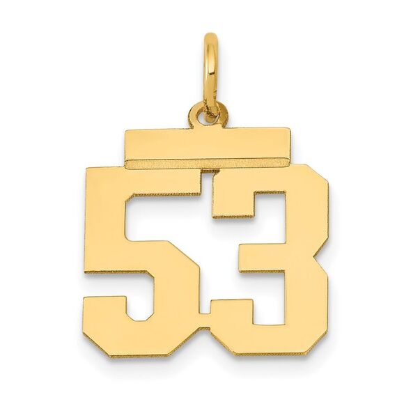 14k Yellow Gold, Athletic Collection, Small Polished Number 53 Pendant - Picture 1 of 5